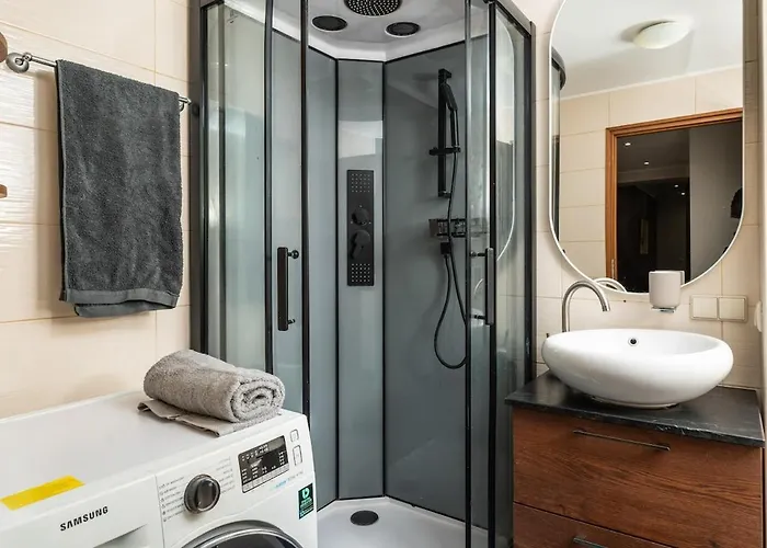 With Big Terrace * Vilnius