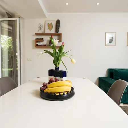 With Big Terrace Apartment *